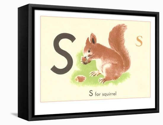 S is for Squirrel-null-Framed Stretched Canvas