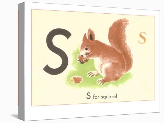 S is for Squirrel-null-Stretched Canvas