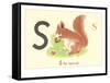 S is for Squirrel-null-Framed Stretched Canvas