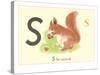 S is for Squirrel-null-Stretched Canvas