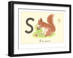 S is for Squirrel-null-Framed Art Print