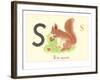 S is for Squirrel-null-Framed Art Print