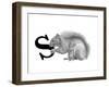 S is for Squirrel-Stacy Hsu-Framed Art Print