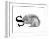 S is for Squirrel-Stacy Hsu-Framed Art Print