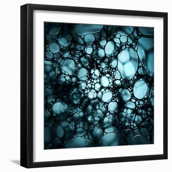 S O a P-Niels Christian Wulff-Framed Photographic Print