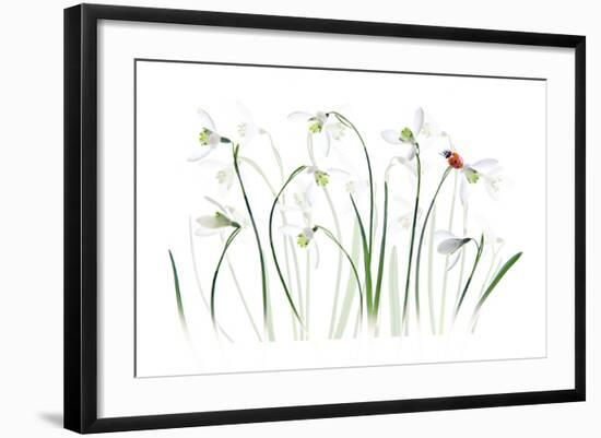 S P R I N G Lady-Jacky Parker-Framed Giclee Print