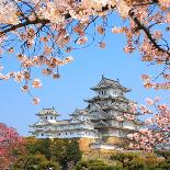 Spring Cherry Blossoms and the Main Tower of the UNESCO World Heritage Site: Himeji Castle, also Ca-S R Lee Photo Traveller-Laminated Photographic Print