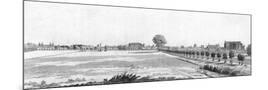 Wood Mount