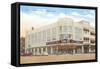 S.S. Kresge Building, Pontiac, Michigan-null-Framed Stretched Canvas
