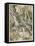 S, Speare: Hermia and Helen-Arthur Rackham-Framed Stretched Canvas