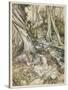 S, Speare: Hermia and Helen-Arthur Rackham-Stretched Canvas