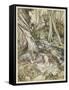 S, Speare: Hermia and Helen-Arthur Rackham-Framed Stretched Canvas