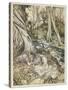 S, Speare: Hermia and Helen-Arthur Rackham-Stretched Canvas