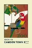 The London Zoo: Exotic Birds-S.t.c. Weeks-Framed Stretched Canvas