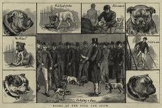 A New Hobby for School-Boys, the Kennel Club at Clayesmore School, Enfield-S.t. Dadd-Giclee Print