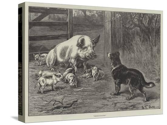 Stretched Canvas Print, , large