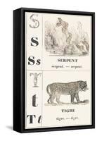 S T: Snake — Tiger, 1850 (Engraving)-Louis Simon (1810-1870) Lassalle-Framed Stretched Canvas