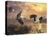 S37 Woodstorks-D. Rusty Rust-Stretched Canvas