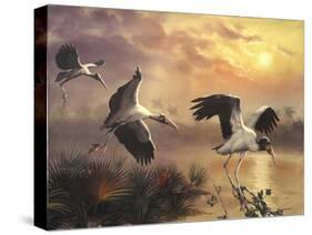 S37 Woodstorks-D. Rusty Rust-Stretched Canvas