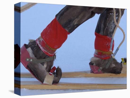 Saami Shoes and Skis, Stora Sjofallet National Park, Lapland, Sweden-Staffan Widstrand-Stretched Canvas