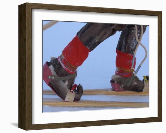 Saami Shoes and Skis, Stora Sjofallet National Park, Lapland, Sweden-Staffan Widstrand-Framed Photographic Print