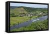 Saar River near Ayl-Biebelhausen, Rhineland-Palatinate, Germany, Europe-Hans-Peter Merten-Framed Stretched Canvas