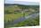 Saar River near Ayl-Biebelhausen, Rhineland-Palatinate, Germany, Europe-Hans-Peter Merten-Stretched Canvas