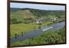 Saar River near Ayl-Biebelhausen, Rhineland-Palatinate, Germany, Europe-Hans-Peter Merten-Framed Photographic Print