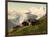 Saas Fee, Alpine View, Valais, Alps Of, Switzerland, C.1890-C.1900-null-Framed Giclee Print