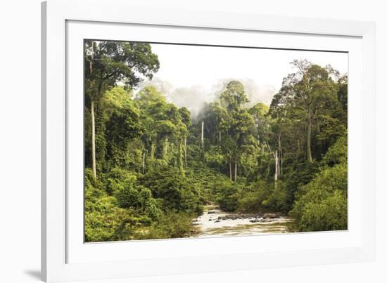 Sabah Mist-null-Framed Giclee Print