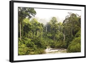 Sabah Mist-null-Framed Giclee Print