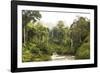 Sabah Mist-null-Framed Giclee Print