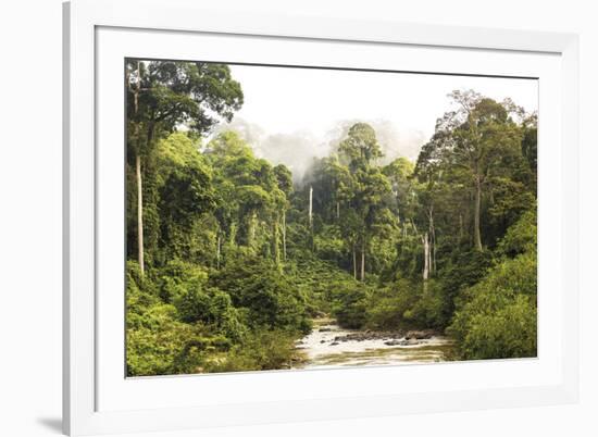 Sabah Mist-null-Framed Giclee Print