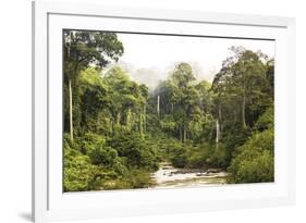 Sabah Mist-null-Framed Giclee Print