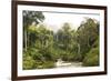 Sabah Mist-null-Framed Giclee Print