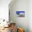 Sabaneev Street, Odessa, Crimea, Ukraine, Europe-Richard-Photographic Print displayed on a wall