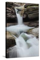 Sabbaday Falls, Franconia Notch, White Mountains, New Hampshire-Adam Jones-Stretched Canvas