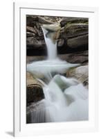 Sabbaday Falls, Franconia Notch, White Mountains, New Hampshire-Adam Jones-Framed Photographic Print