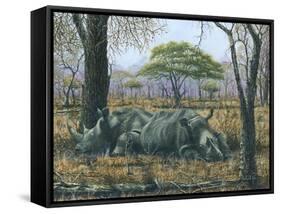 Sabi Sand Siesta-Richard Harpum-Framed Stretched Canvas