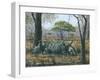 Sabi Sand Siesta-Richard Harpum-Framed Art Print