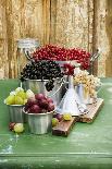 A Still Life of Currants and Gooseberries in Assorted Aluminium Containers-Sabine Löscher-Framed Stretched Canvas