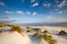 Wodden Path in the Dunes, Wenningstedt, Sylt Island, Northern Frisia, Schleswig-Holstein, Germany-Sabine Lubenow-Photographic Print