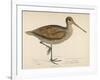 Sabine's Snipe-Reverend Francis O. Morris-Framed Photographic Print