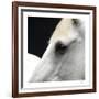 Sabino-Ray Hartl-Framed Collectable Print