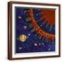 Brown Frame