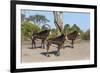 Sable (Hippotragus niger), Chobe National Park, Botswana, Africa-Ann and Steve Toon-Framed Photographic Print