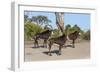 Sable (Hippotragus niger), Chobe National Park, Botswana, Africa-Ann and Steve Toon-Framed Photographic Print