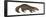 Sable (Martes Zibellina), Weasel, Mammals-Encyclopaedia Britannica-Framed Poster