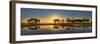 Sable palms on the Econlockhatchee River, a blackwater tributary of the St. Johns River, Florida-Adam Jones-Framed Photographic Print