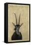 Sable-James W. Johnson-Framed Stretched Canvas
